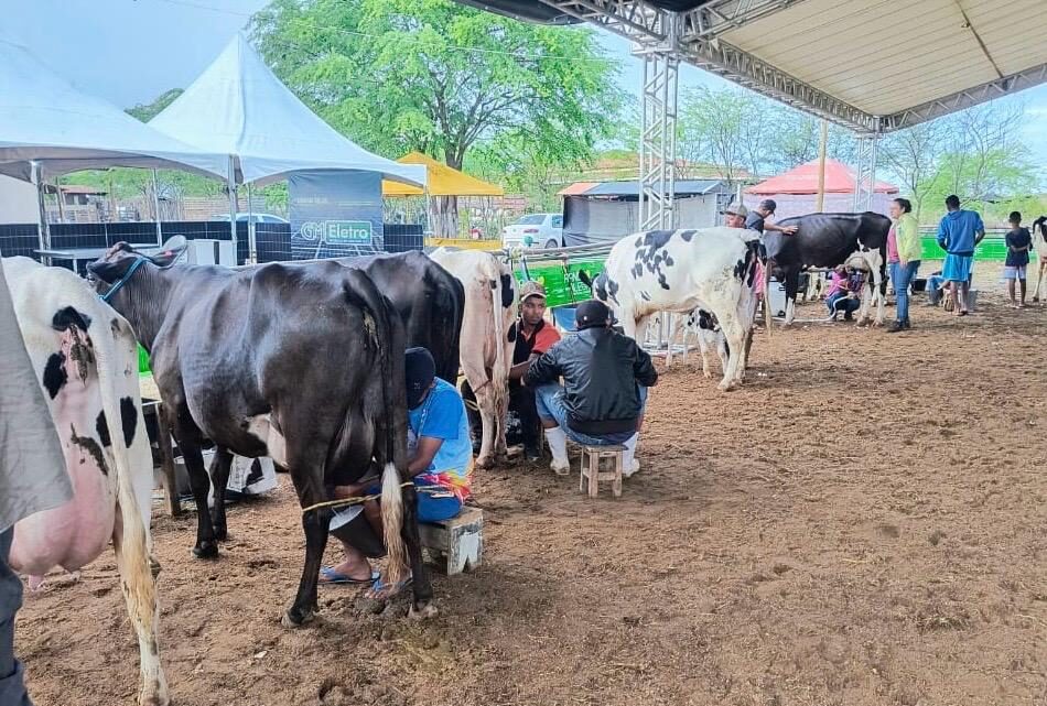 Nova Portaria da Adagro regulamenta realização de Torneios Leiteiros em Pernambuco