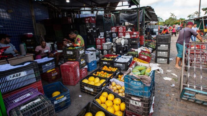 Abacate, alface e batatinha ficam mais baratos na Ceaca nesta semana