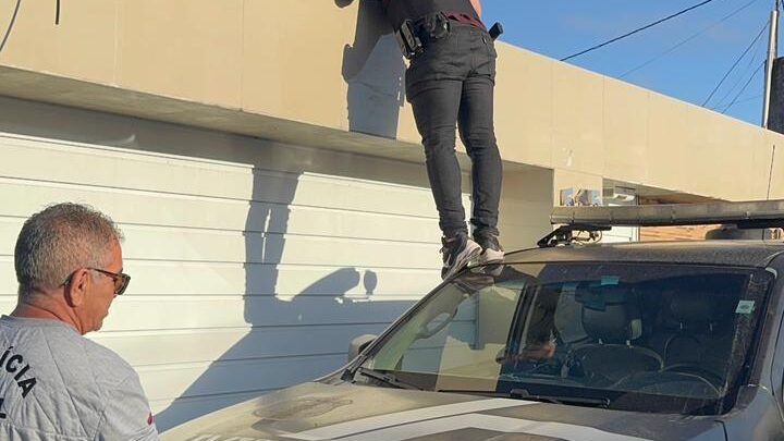 Polícia Civil deflagra operações contra tráfico de drogas e lavagem de dinheiro