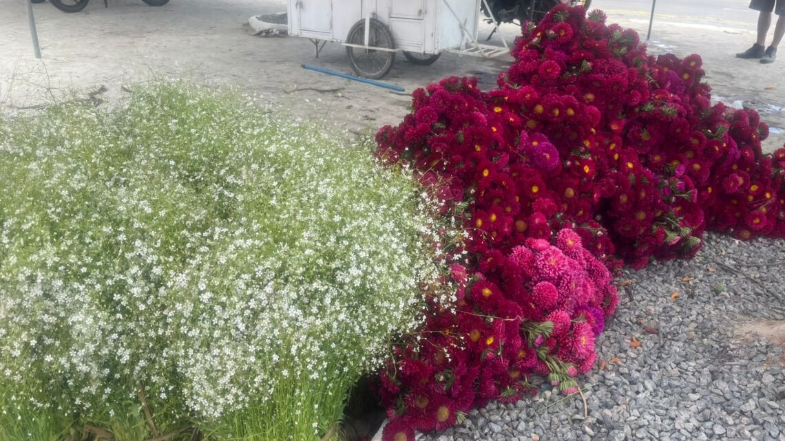 Ceaca realiza Feira de Flores em homenagem ao Dia de Finados