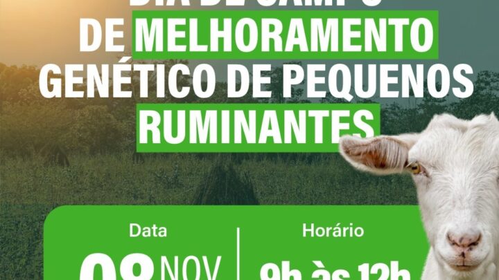 Caruaru realiza Dia de Campo sobre Melhoramento Genético de Pequenos Ruminantes