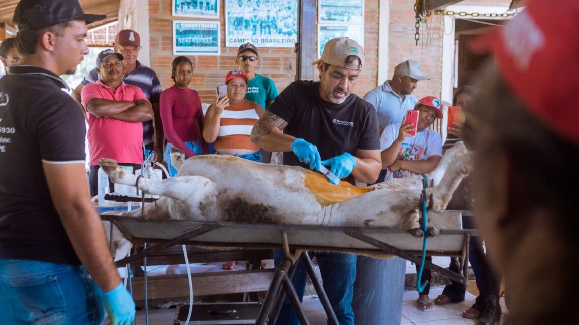 Caruaru fortalece pecuária de pequeno porte com Dia de Campo sobre Melhoramento Genético
