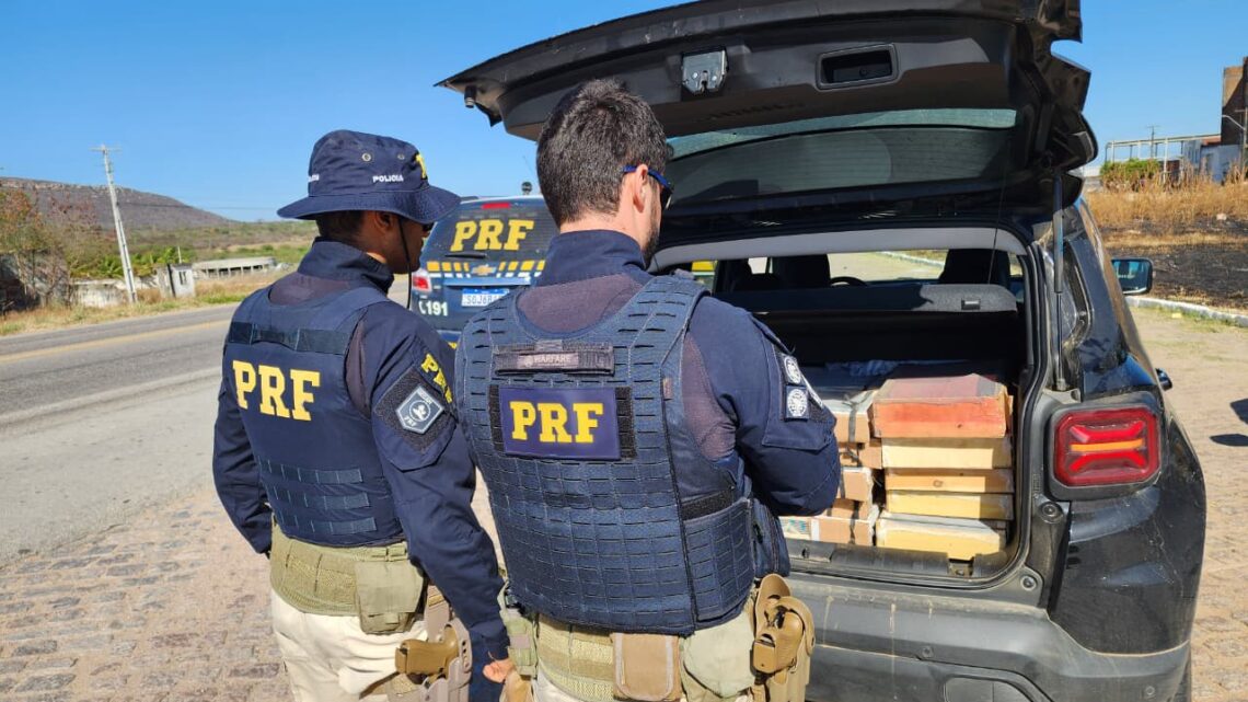 Irmãos são detidos pela PRF com mais de 400 pássaros silvestres