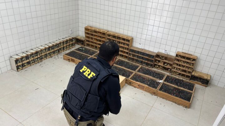 PRF resgata mais de 900 animais silvestres que seriam revendidos em Caruaru