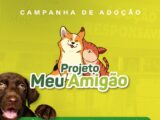 Caruaru realiza nova edição do Projeto “Meu Amigão”, que já conseguiu adoção para centenas de animais em 2025