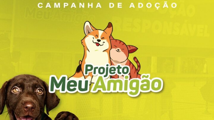 Caruaru realiza nova edição do Projeto “Meu Amigão”, que já conseguiu adoção para centenas de animais em 2025