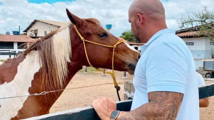 Câmara aprova projeto de Anderson Correia para microchipagem de animais de grande porte soltos em vias públicas de Caruaru