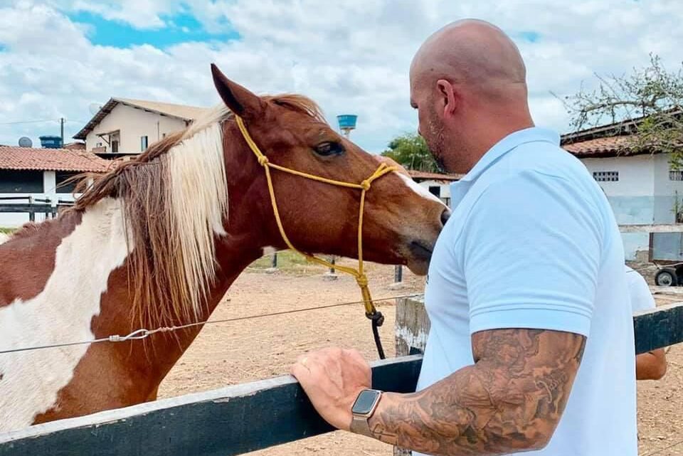Câmara aprova projeto de Anderson Correia para microchipagem de animais de grande porte soltos em vias públicas de Caruaru