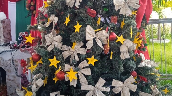 Casa dos Pobres lança árvore de Natal de pedidos para idosos