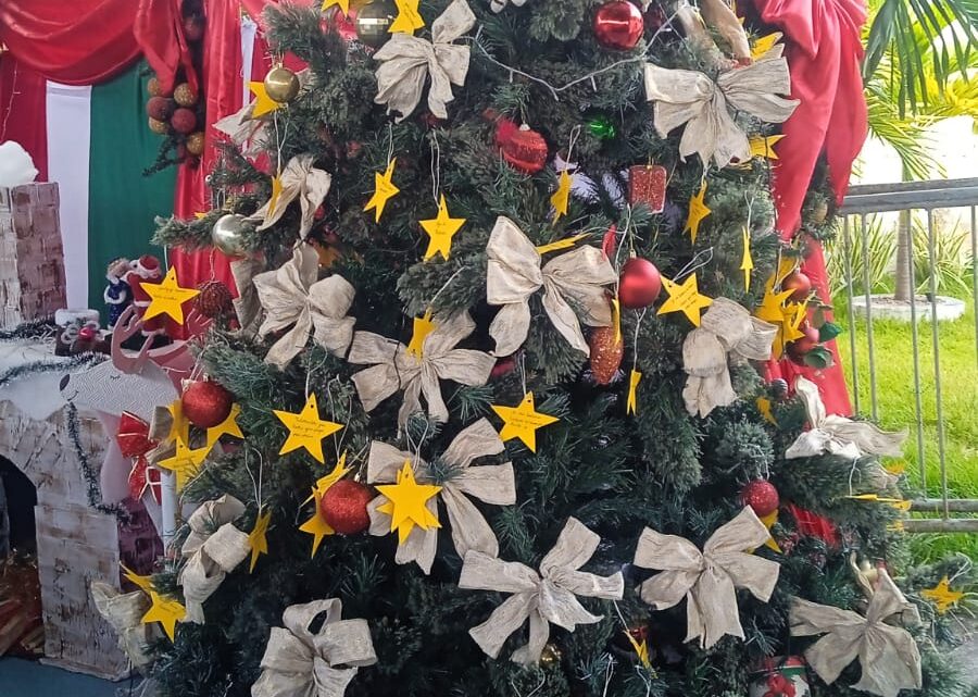 Casa dos Pobres lança árvore de Natal de pedidos para idosos