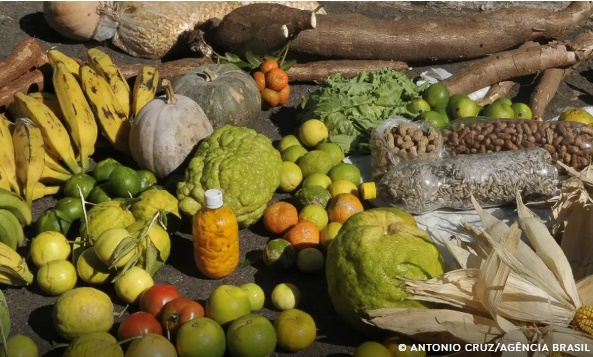 Caruaru apresenta Plano Municipal de Segurança Alimentar e Nutricional