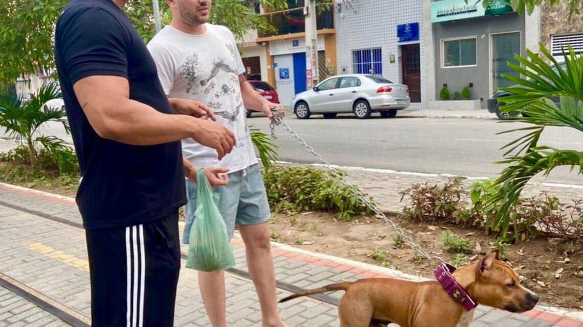 Anderson Correia promove ação neste sábado (17), na Via Parque, para orientar tutores sobre horários de passeios com os pets no verão
