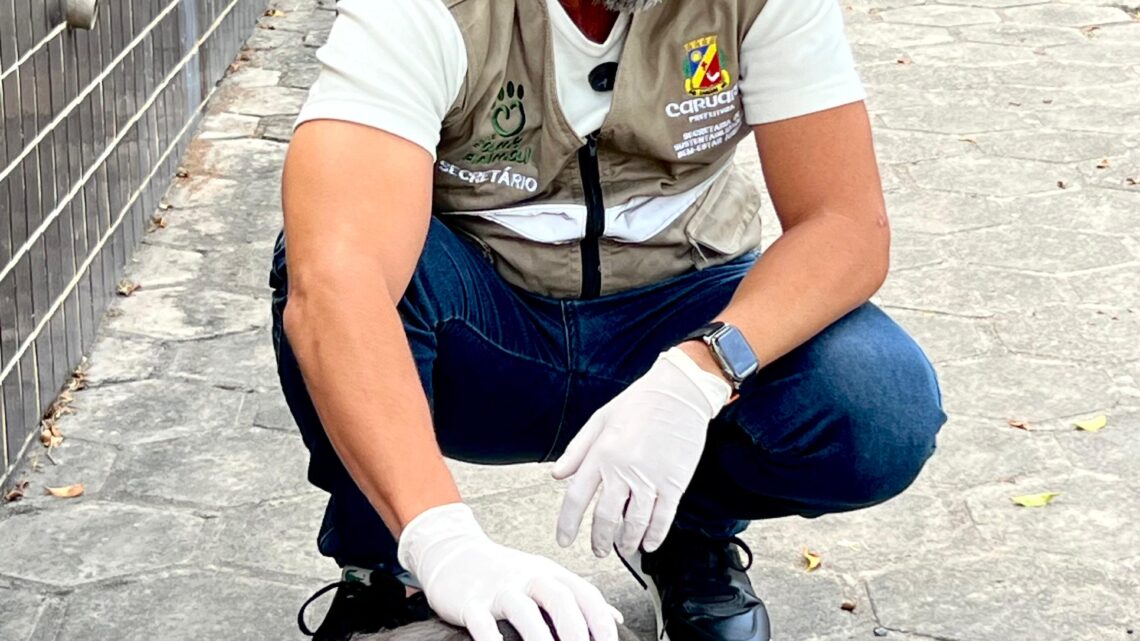 A causa animal tem demonstrado avanços significativos em Caruaru