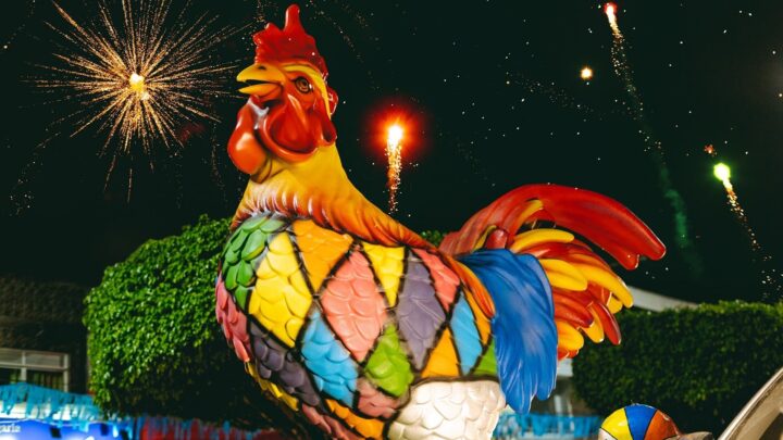 Camocim de São Félix antecipa a folia e leva o Galo da Madrugada ao Agreste