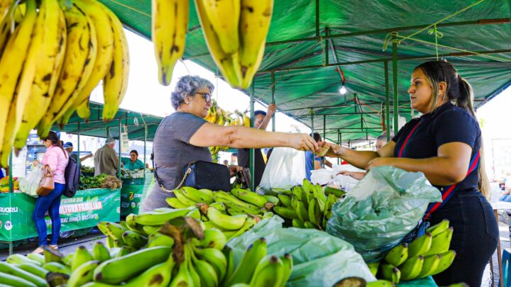 Feiras de bairro funcionarão normalmente durante o período carnavalesco; coleta domiciliar de lixo também