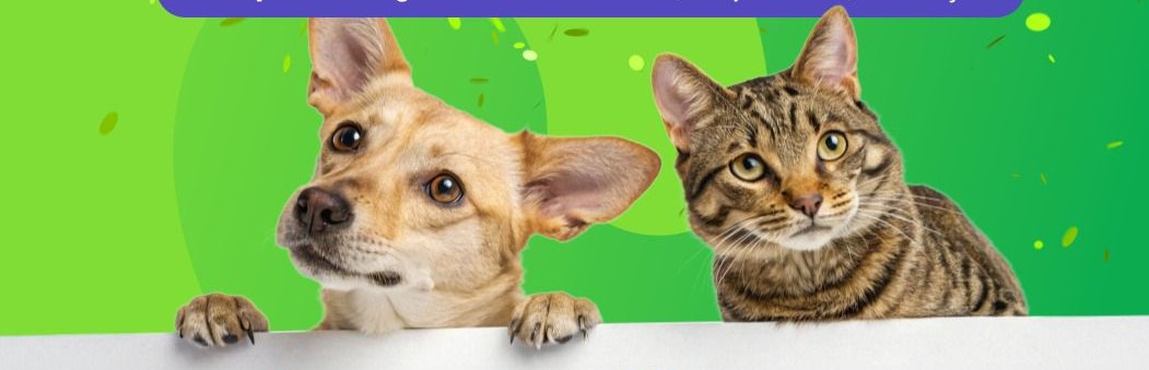 AME Animal garante plantão inédito durante o Carnaval