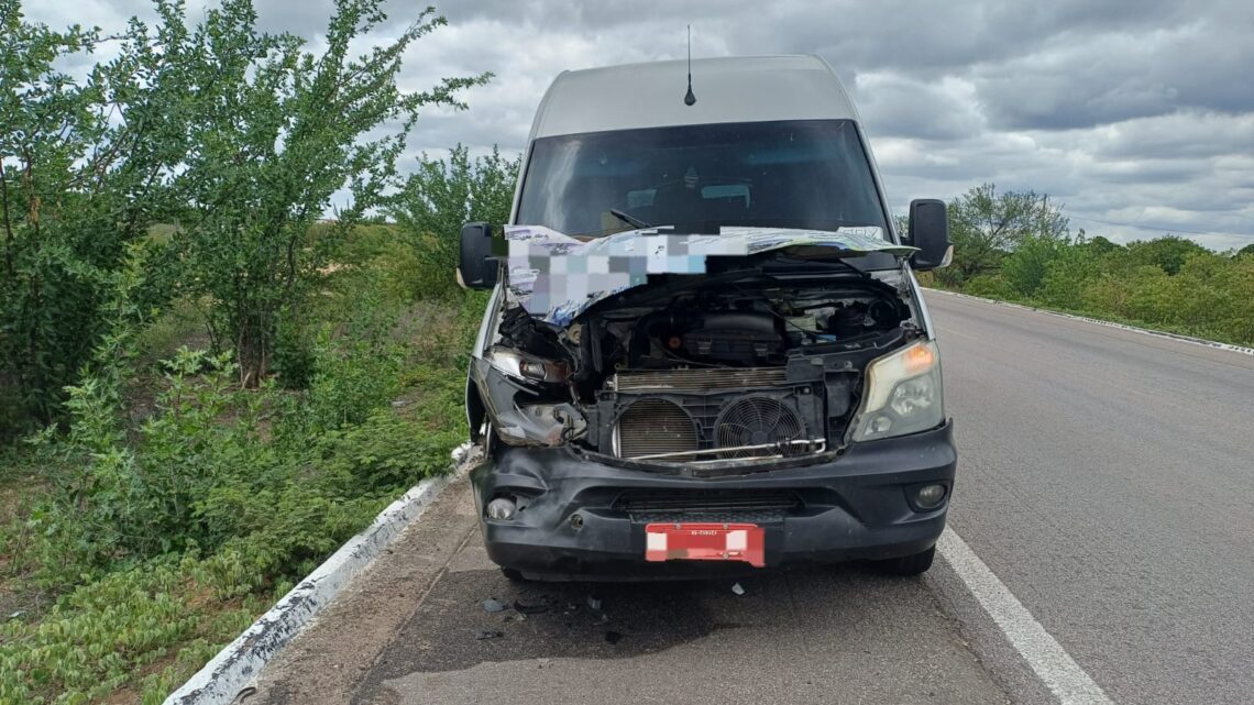 Menina de 11 anos morre atropelado por van