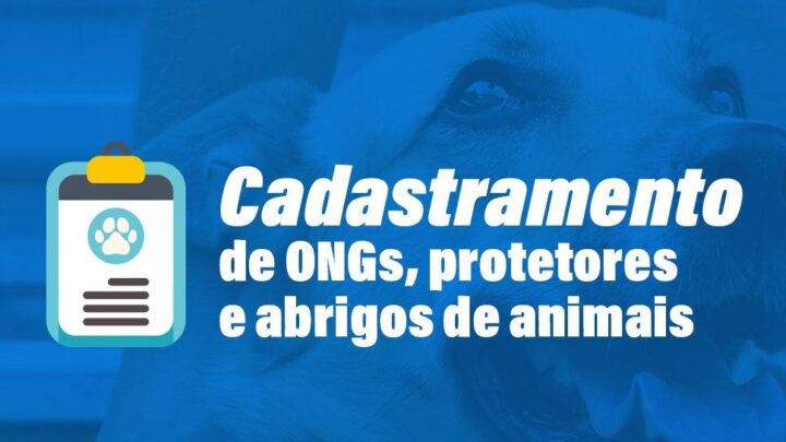 Inscrições abertas para cadastramento para ONGs, abrigos e protetores de animais
