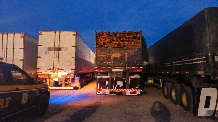 PRF apreende 100m³ de madeira ilegal na BR-232