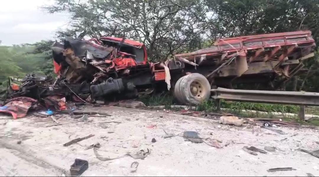 Motorista morre, após colisão frontal entre dois caminhões