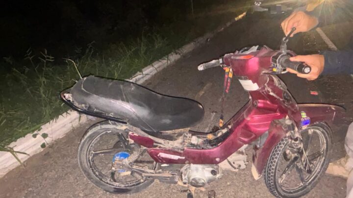 Neto e avó morrem atropelados