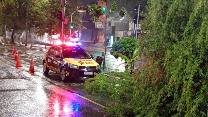 Chuva derruba árvore na Via Parque de Caruaru