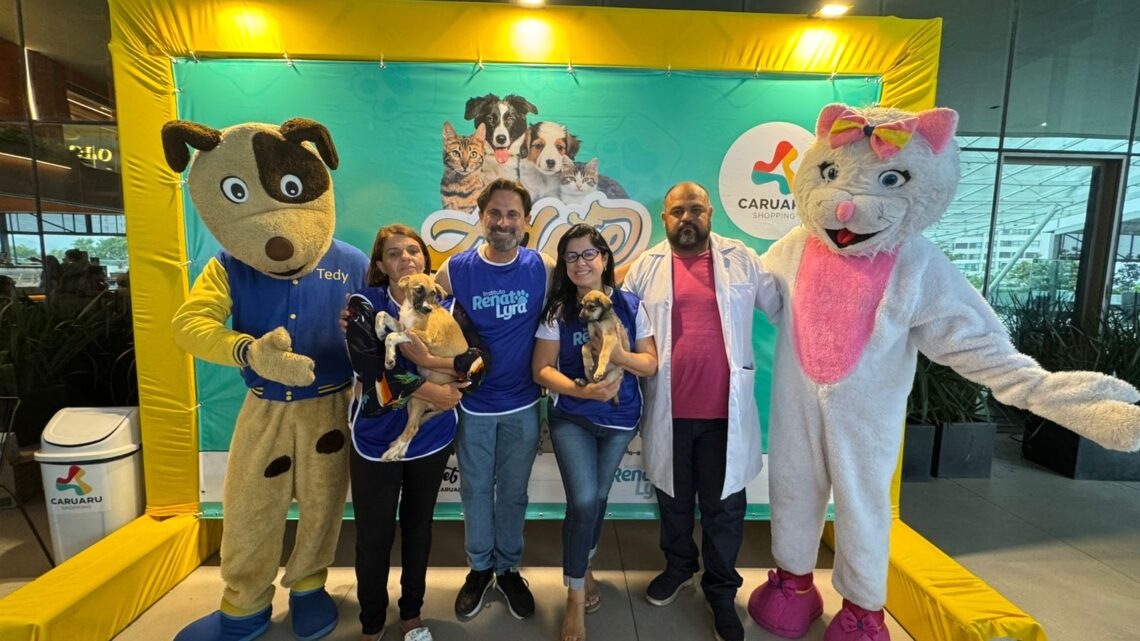 Renato Lyra se destaca em Caruaru com políticas públicas voltadas para o bem-estar de animais de rua