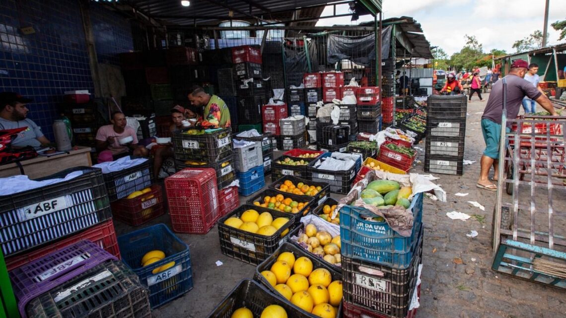 Ceaca registra variação em 79 produtos e destaca itens mais baratos para o consumidor