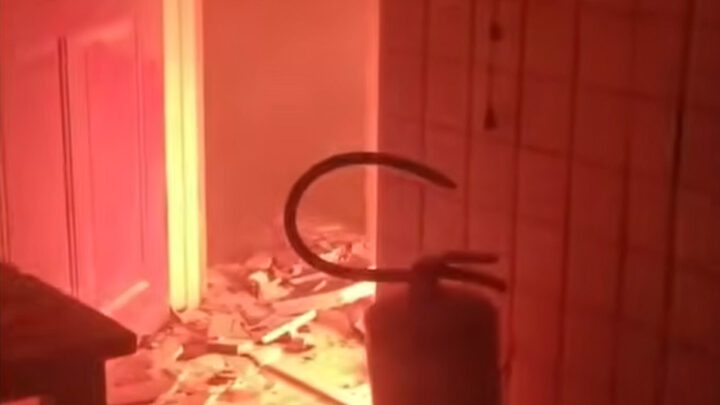 Tio, sobrinha e três cachorros morrem durante incêndio em prédio