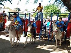 Confira a programação do Festival Nacional de Jericos de Panelas, que começa nesta quinta (30)