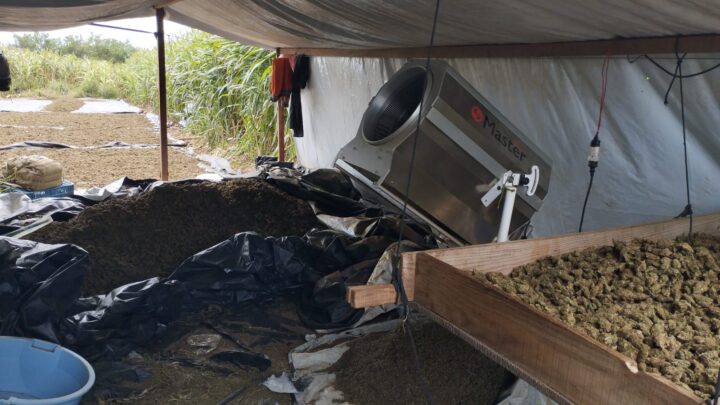 Polícia Federal apreende cerca de 2 toneladas de maconha gourmet-inflorescência