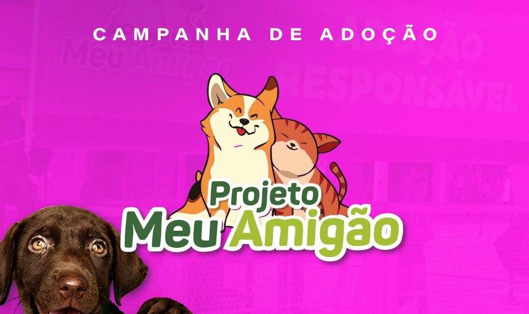 Feira Meu Amigão amplia programação e realiza adoção com castração garantida em Caruaru