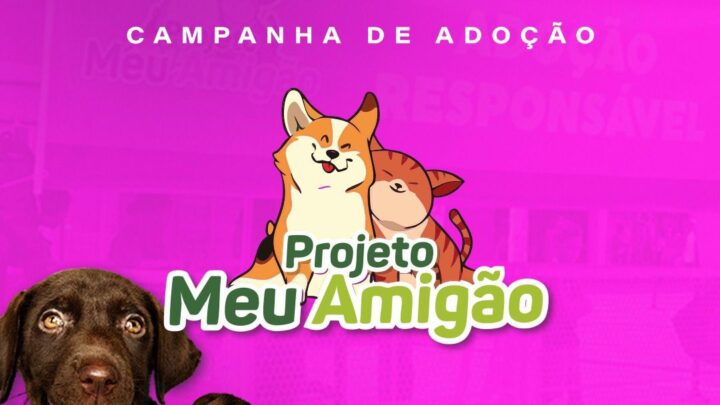 Feira Meu Amigão amplia programação e realiza adoção com castração garantida em Caruaru