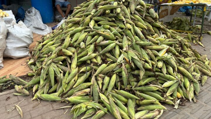 Feira do Milho, em Caruaru, está com inscrições abertas para comercialização em novo espaço
