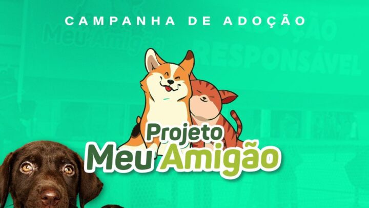 Feira Meu Amigão com adoção responsável nestas quarta (20) e quinta (21)