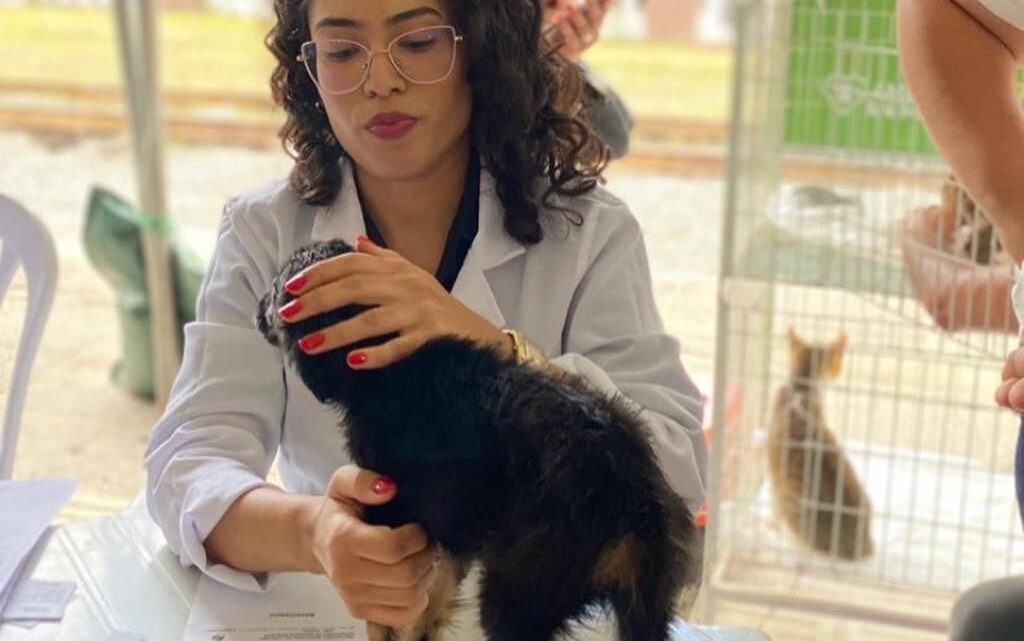 Vacinação antirrábica gratuita acontece em horário noturno nesta quinta-feira (21), em Caruaru