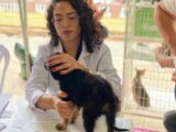 Vacinação antirrábica gratuita acontece em horário noturno nesta quinta-feira (21), em Caruaru