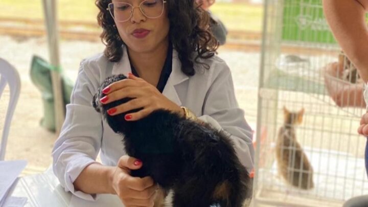 Vacinação antirrábica gratuita acontece em horário noturno nesta quinta-feira (21), em Caruaru