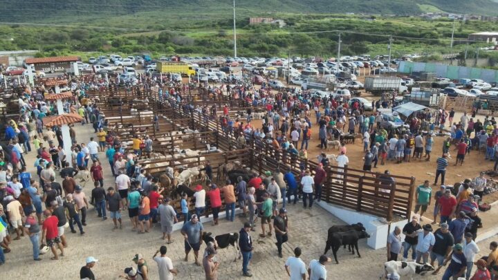 Estreia com sucesso: 1ª Feira de Gado de Toritama movimenta a economia local e atrai grande público nesta quarta