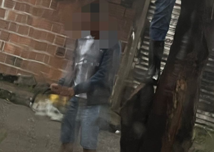 Guarda Municipal de Caruaru conduz suspeito por corte irregular de árvores em área urbana