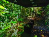 Sala imersiva funciona no São João de Caruaru