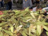 Comidas Gigantes: Milharada Assada em Caruaru será nesta quarta-feira (24)