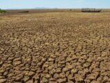 Apac divulga atualização do El Niño com previsão de temperaturas acima da média e risco de agravamento da seca em Pernambuco