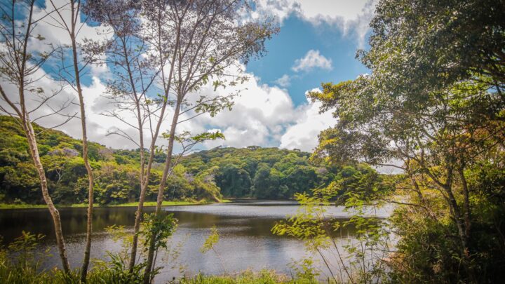 Parque Natural Municipal terá programação especial neste domingo