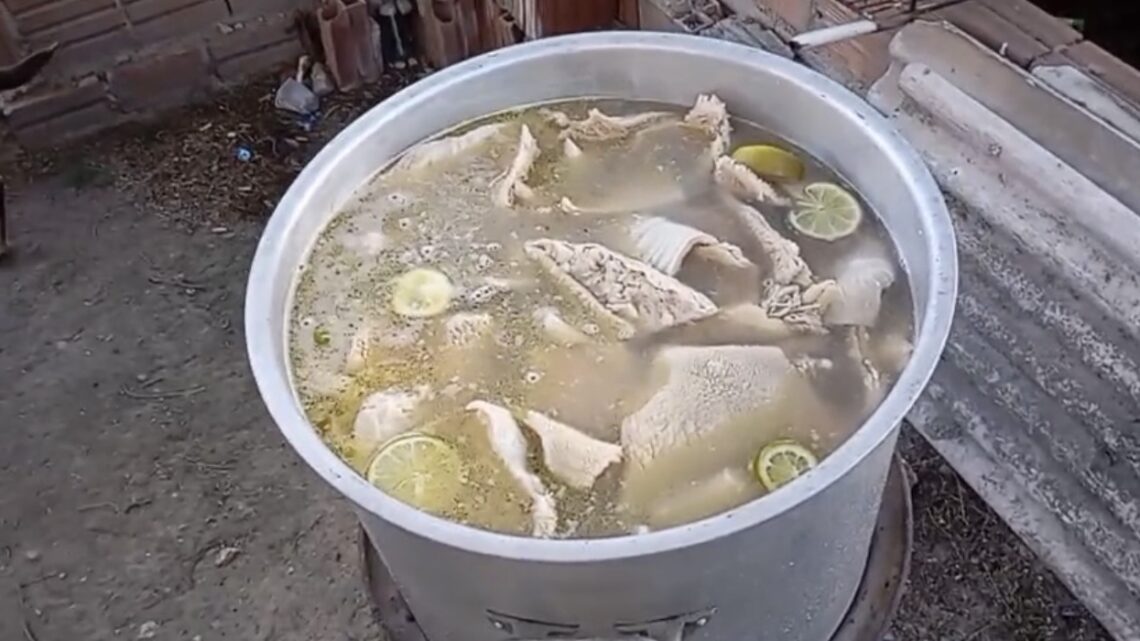 1ª edição da Maior Sopa de Mão de Vaca do Mundo, em Caruaru, será realizada neste domingo
