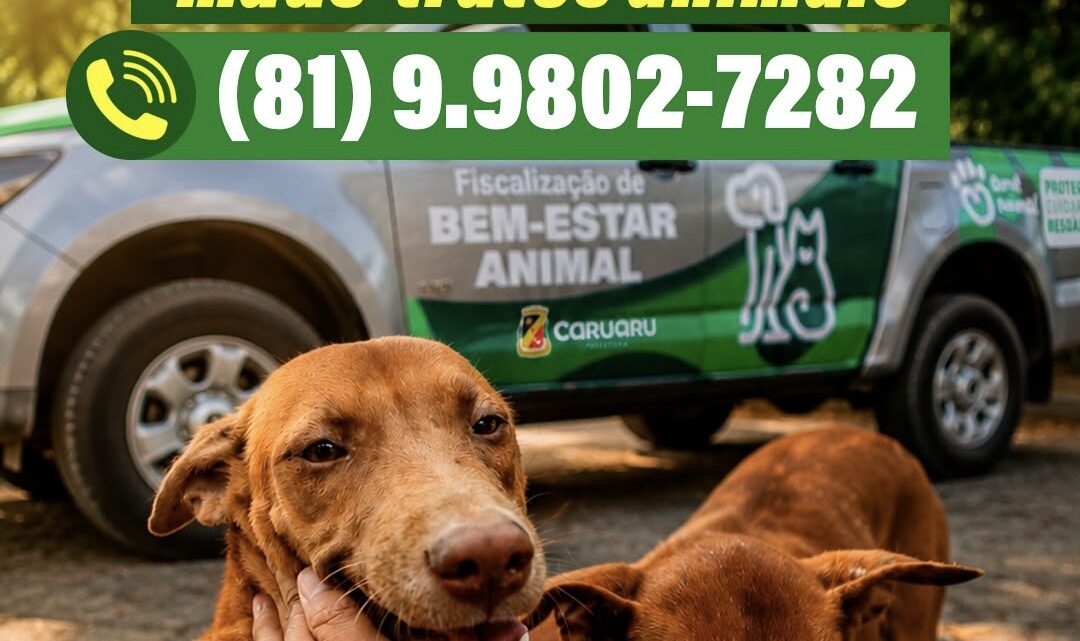 Disque-denúncia maus tratos animais está disponível em Caruaru