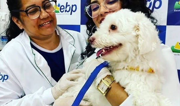 Vacinação antirrábica gratuita para cães e gatos será realizada em Caruaru, neste sábado (4)
