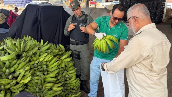 Ceaca inicia monitoramento de resíduos de agrotóxicos