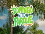 Domingo no Parque terá programação gratuita no Parque Ambiental do bairro Rendeiras