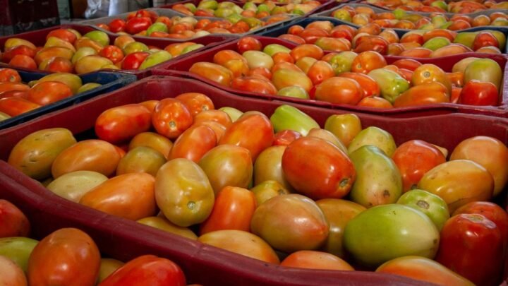 Ceaca registra queda de preços em 13 produtos na cotação da semana